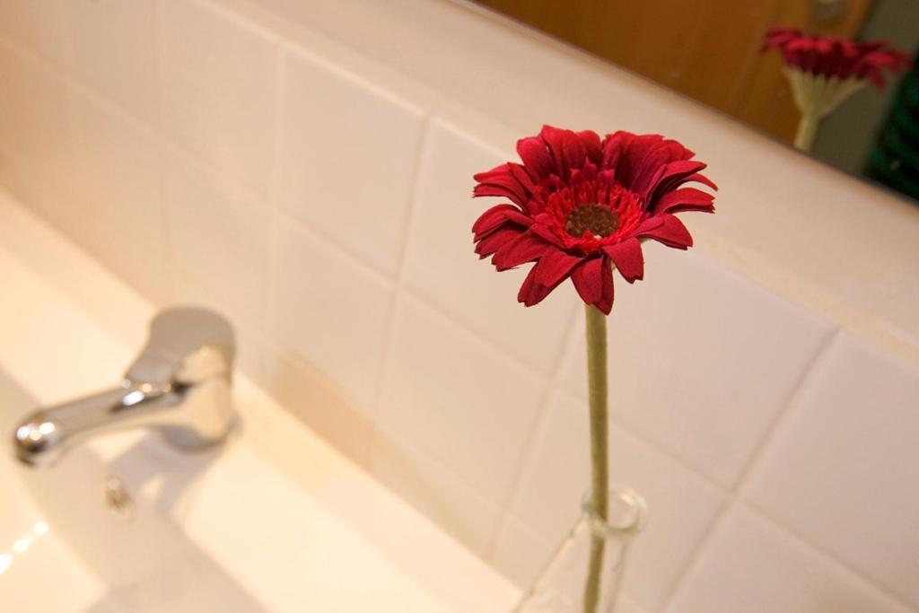 Apartaments Rural Montseny Gualba de Dalt Eksteriør billede