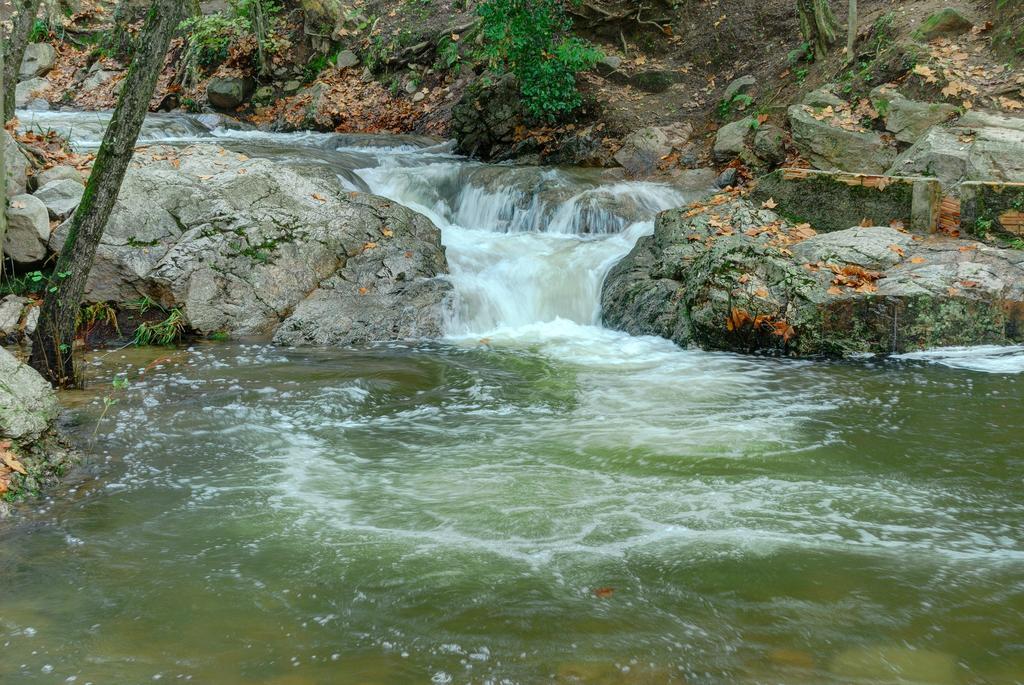 Apartaments Rural Montseny Gualba de Dalt Eksteriør billede