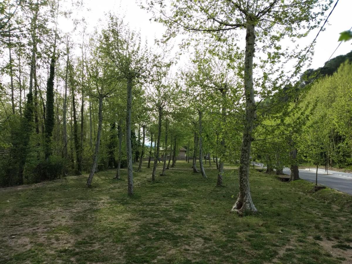 Apartaments Rural Montseny Gualba de Dalt Eksteriør billede